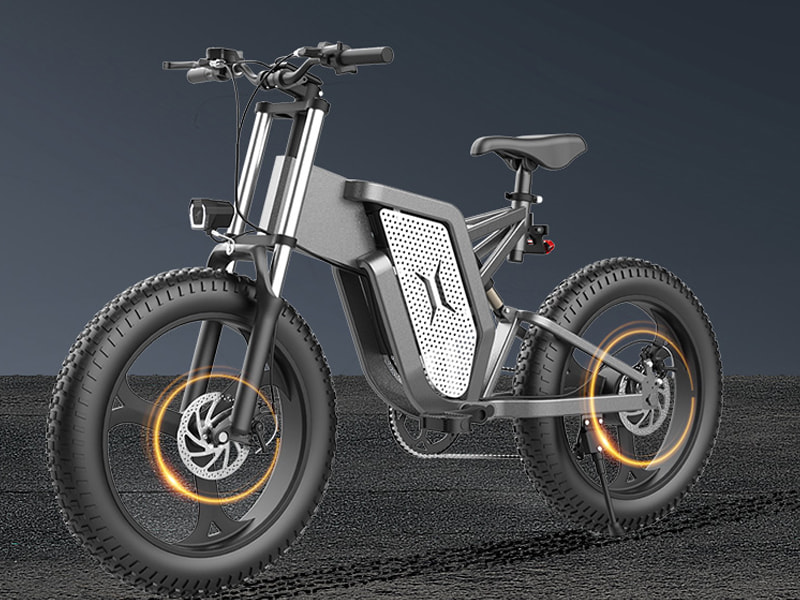 Electric assisted bicycle